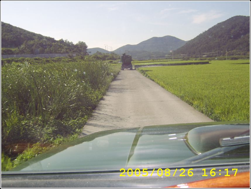 STA70523.jpg