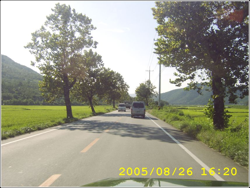 STA70524.jpg
