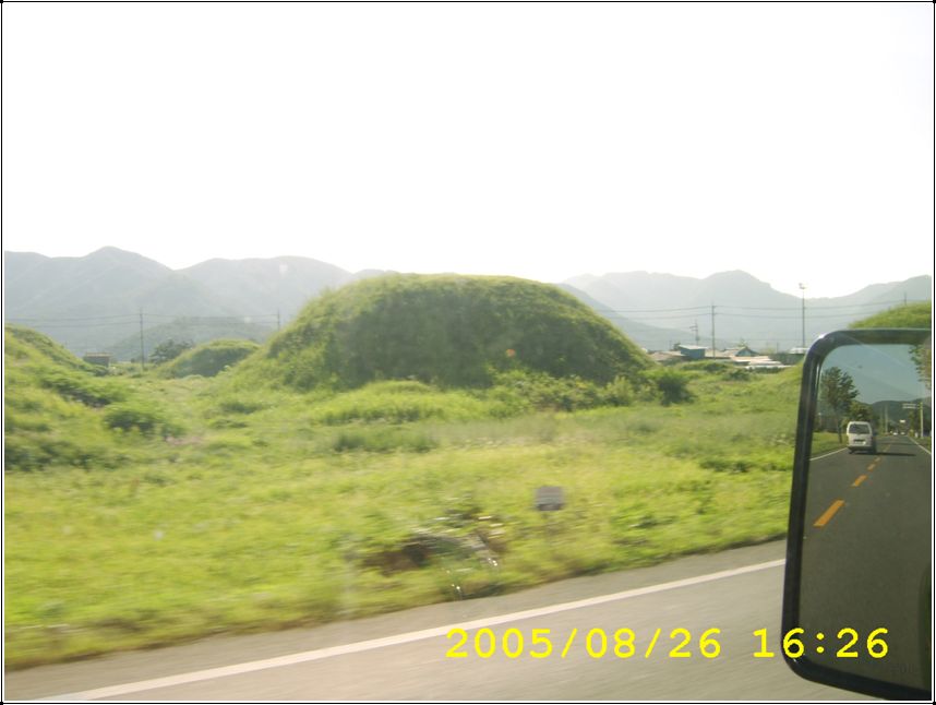STA70529.jpg