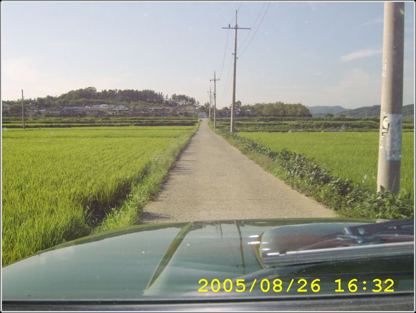 STA70538.jpg