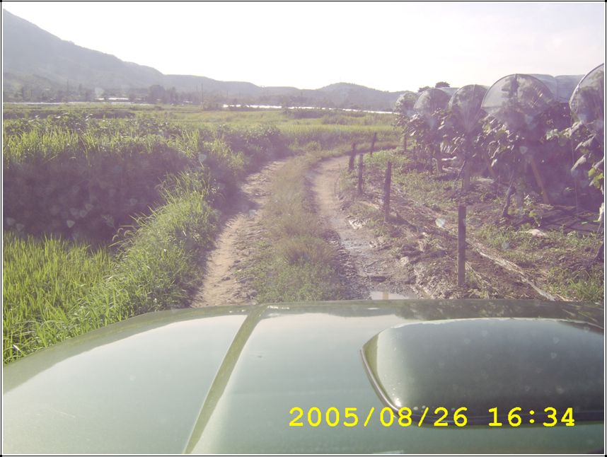 STA70540.jpg