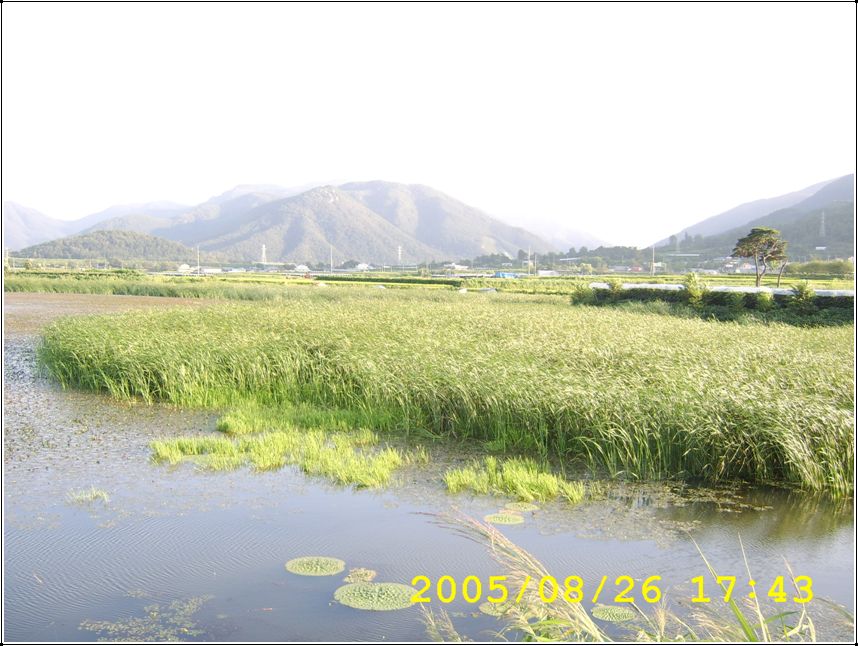 STA70546.jpg