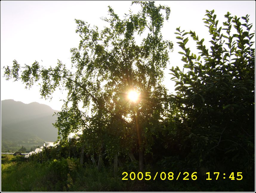 STA70549.jpg