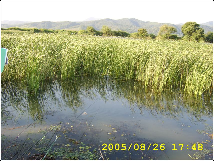 STA70552.jpg