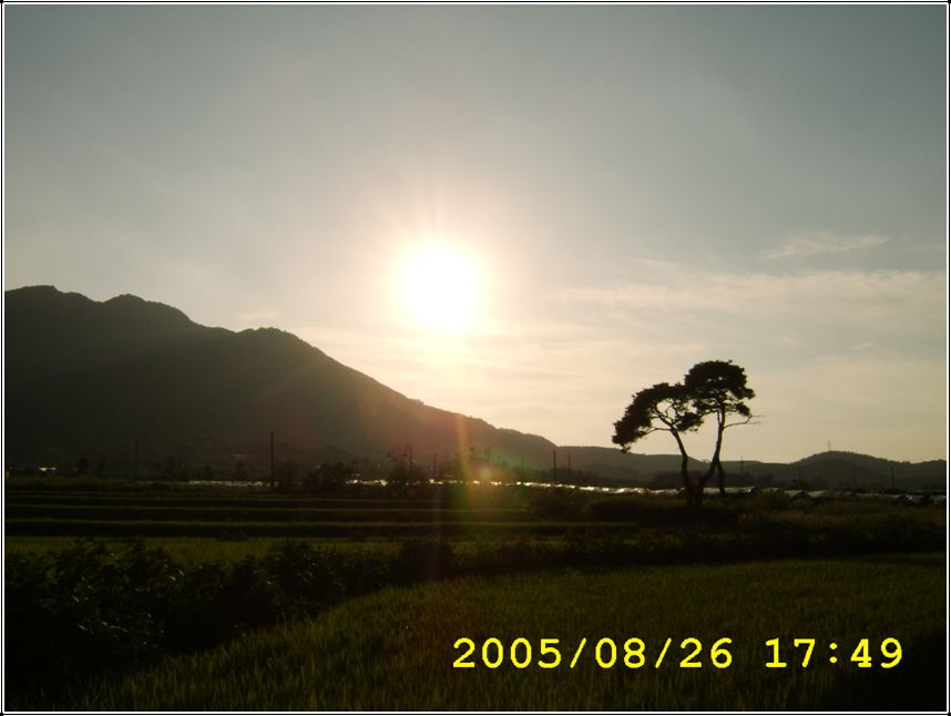 STA70553.jpg