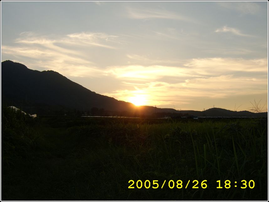 STA70559.jpg