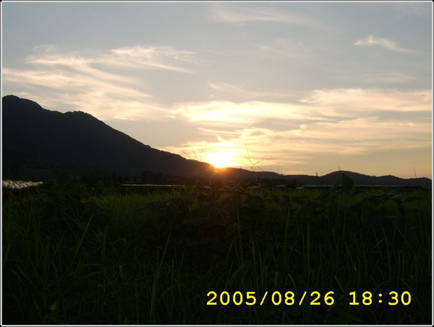 STA70560.jpg
