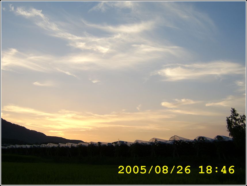 STA70561.jpg