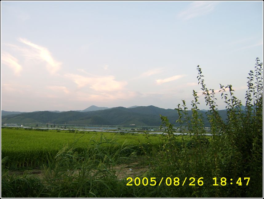 STA70562.jpg