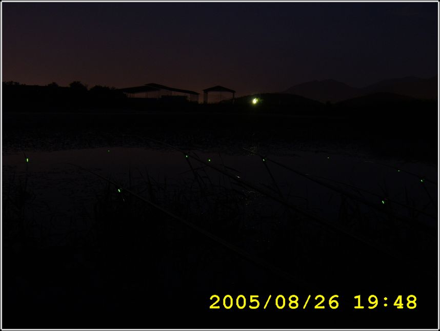 STA70568.jpg