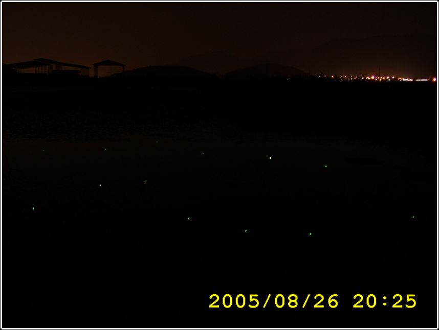 STA70576.jpg