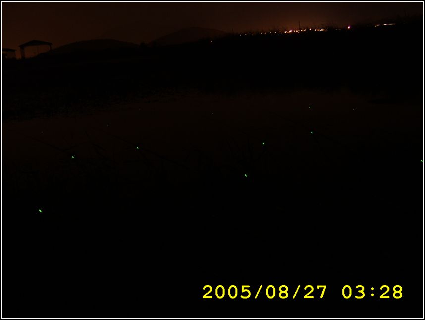 STA70581.jpg