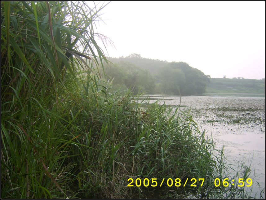 STA70584.jpg