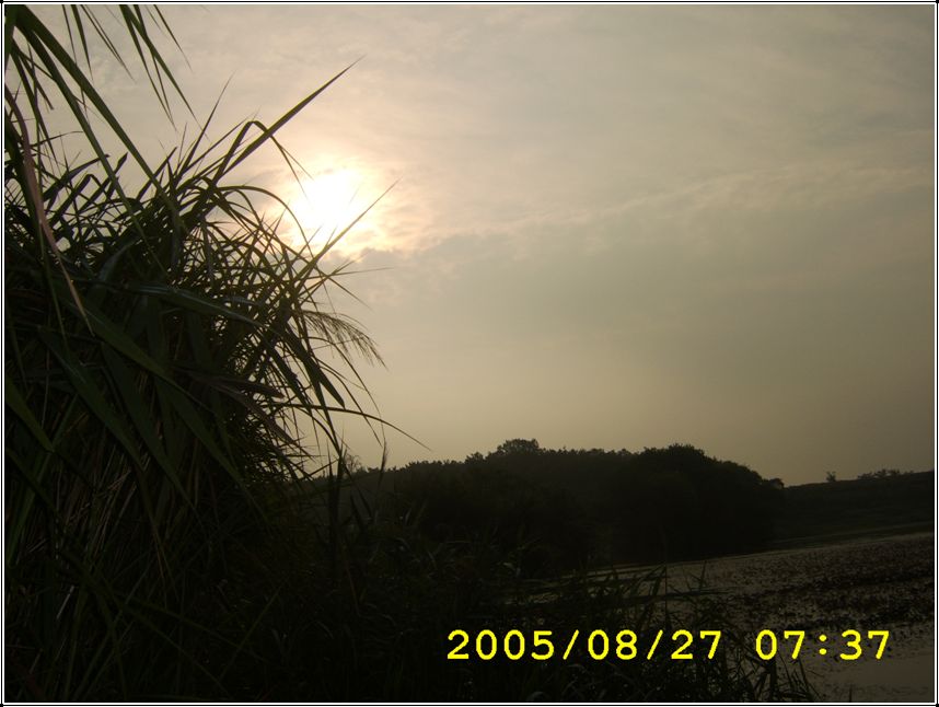 STA70586.jpg