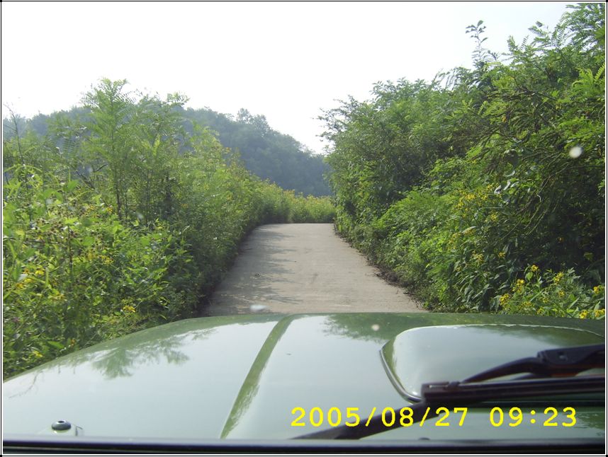 STA70594.jpg