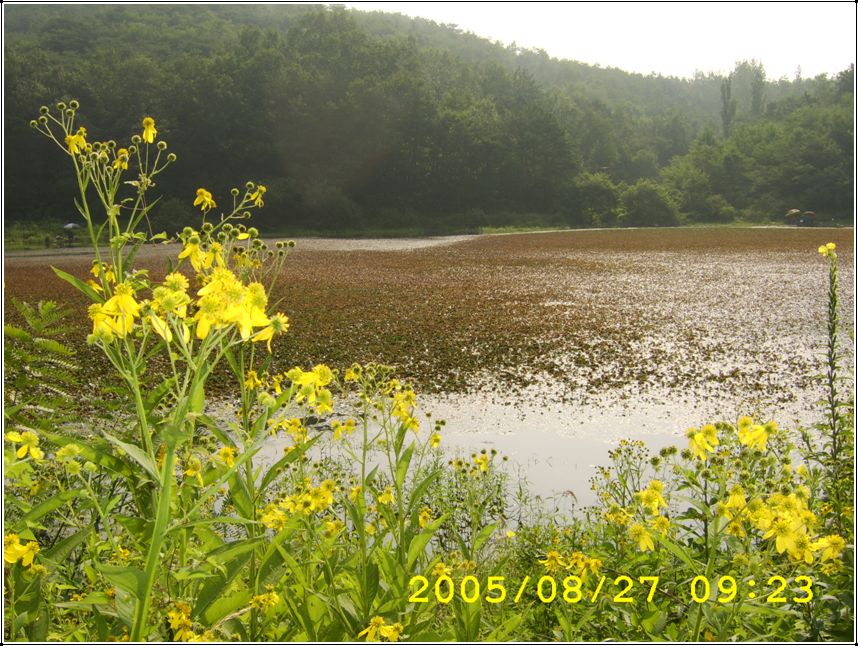 STA70595.jpg