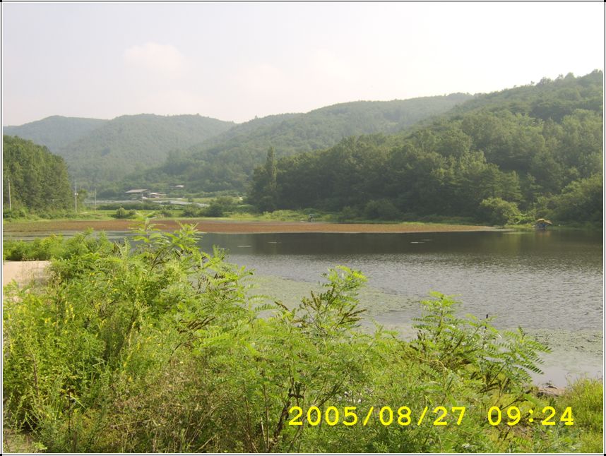 STA70596.jpg