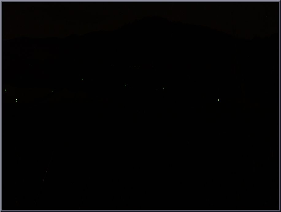 STA71628.jpg