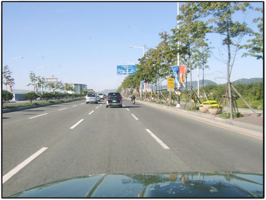 STA71747.jpg