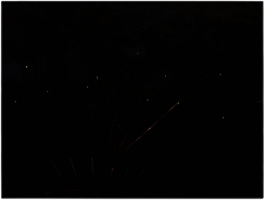 STA71837.jpg