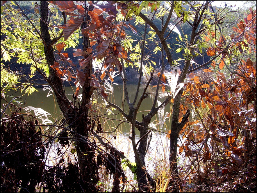 STA40585-9.jpg