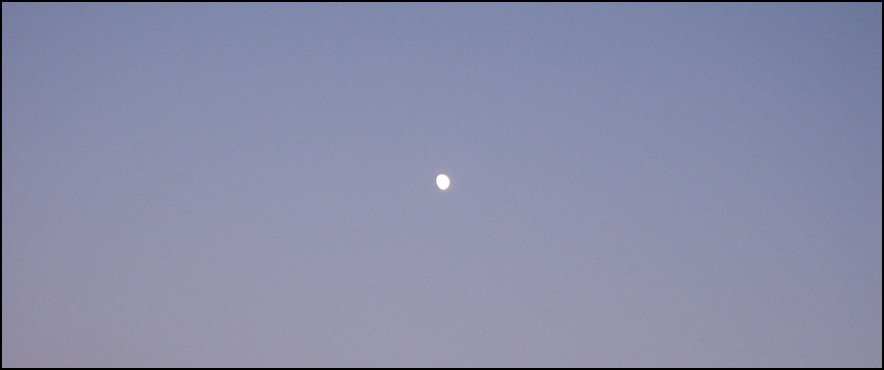 STA40660-1.jpg