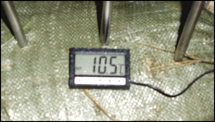 STA40684-3.jpg
