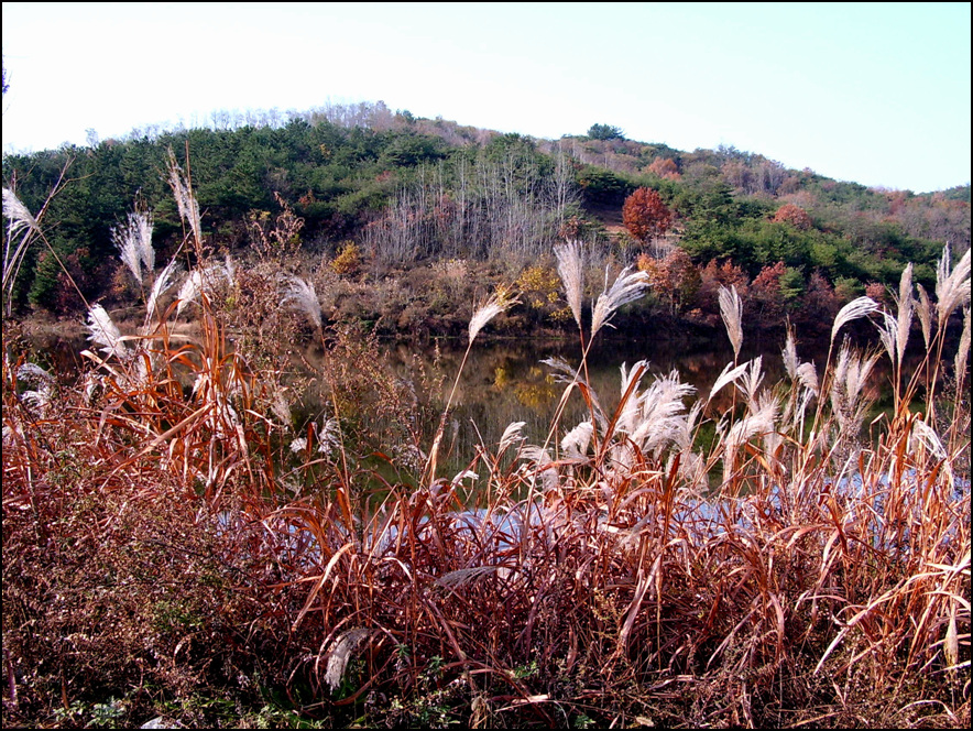 STA40744-5.jpg