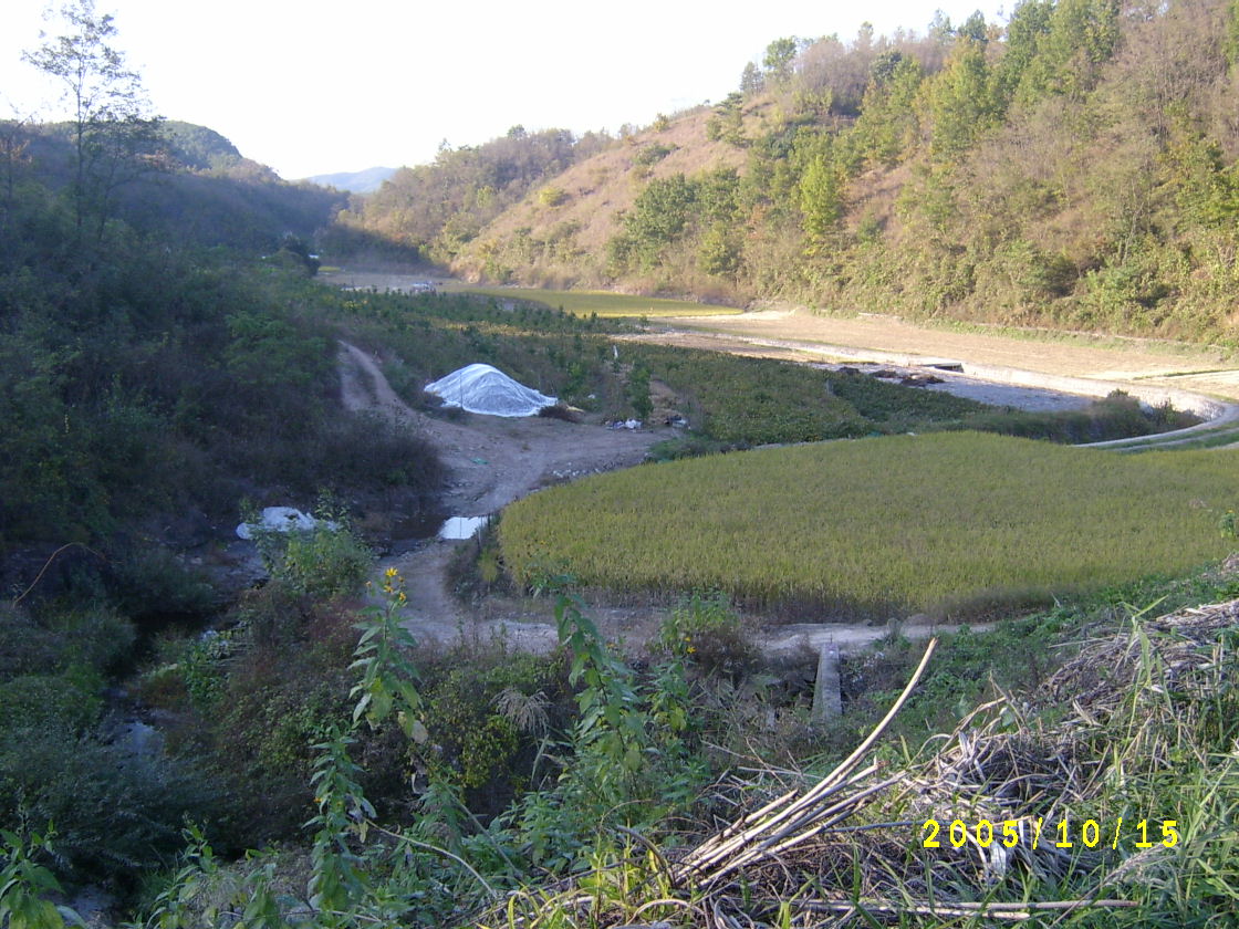 S4200499.JPG