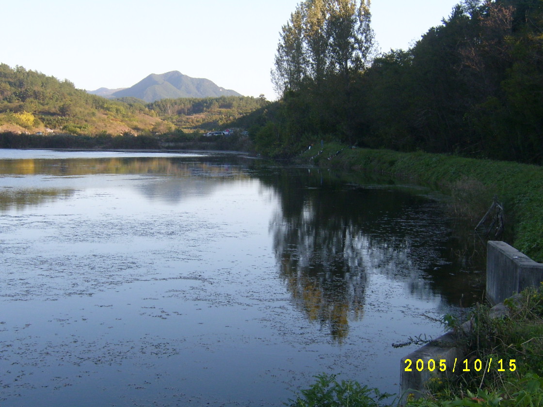 S4200500.JPG