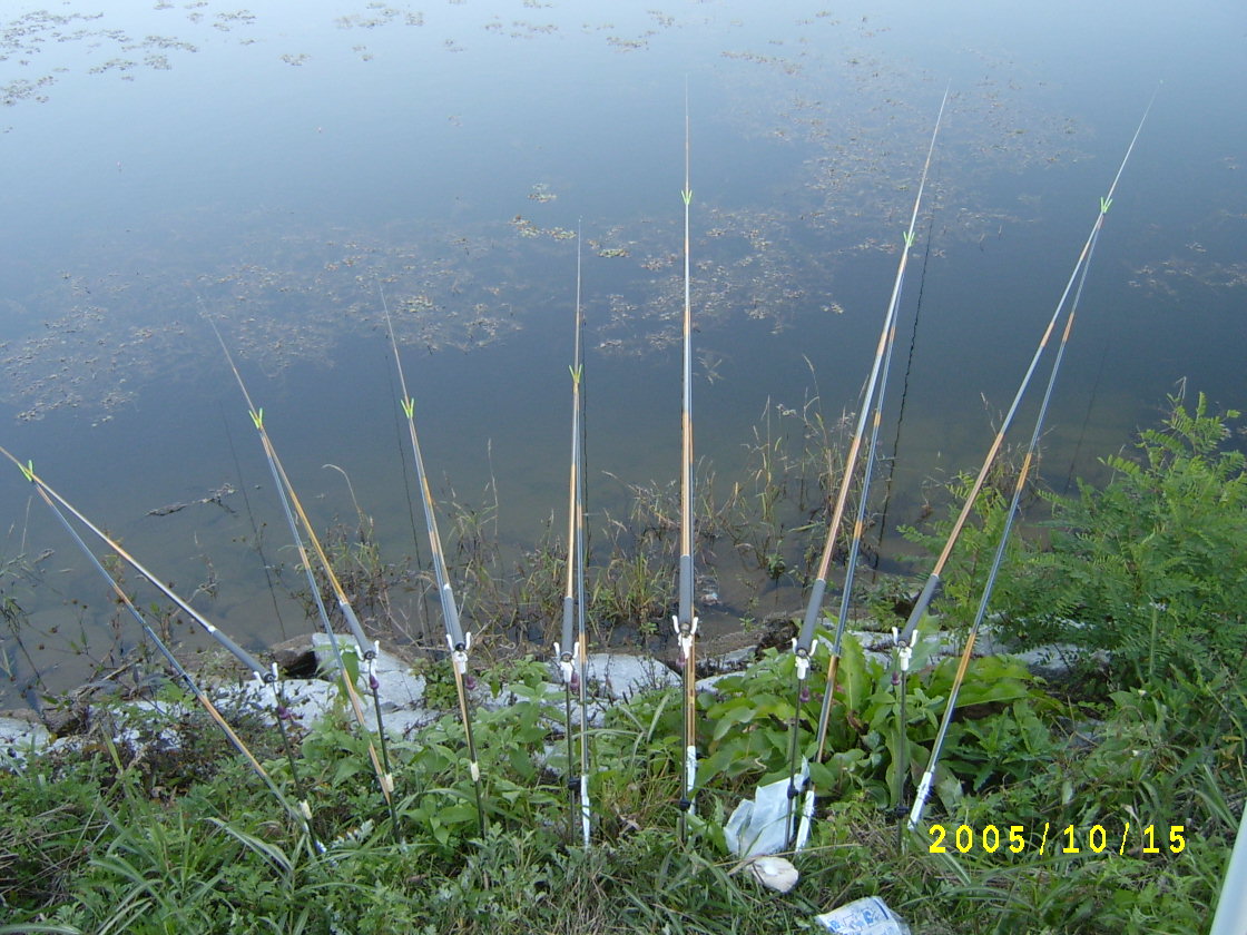 S4200504.JPG