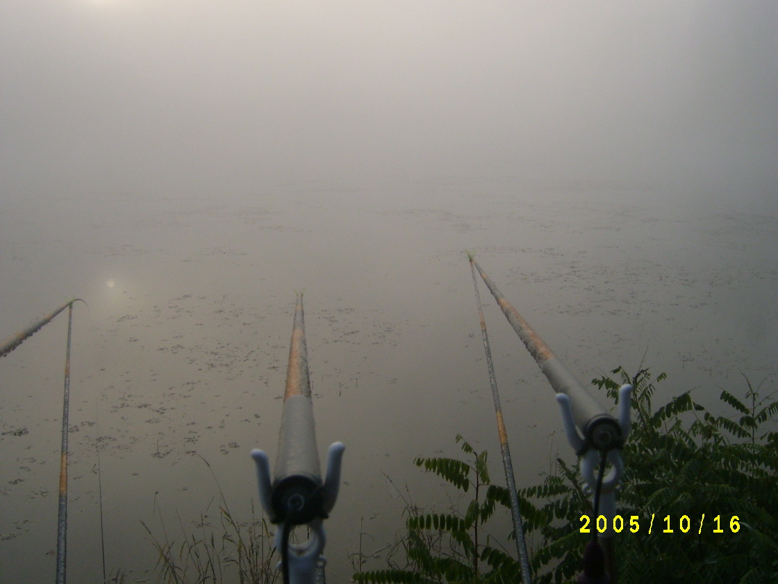 S4200505.JPG