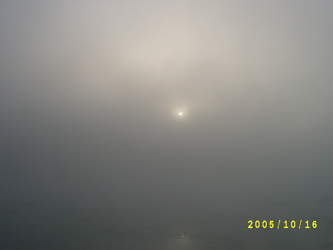 S4200506.JPG