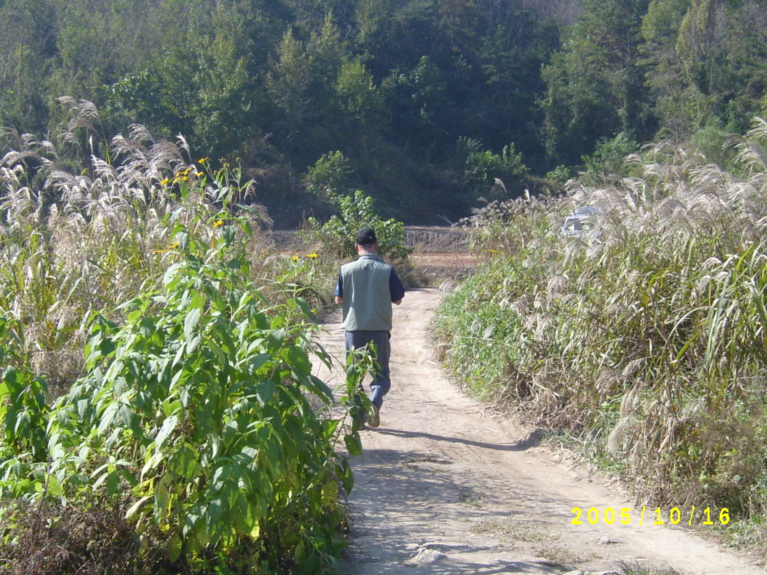 S4200516.JPG
