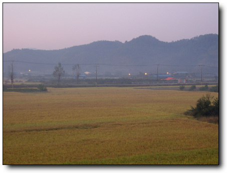 STA40249-4.jpg