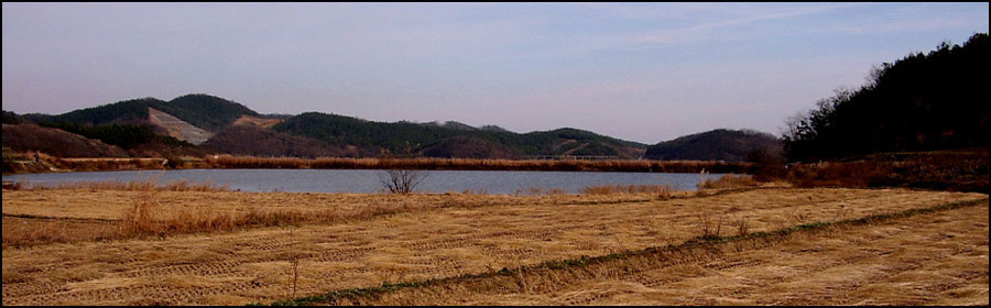 STA40784-1.jpg