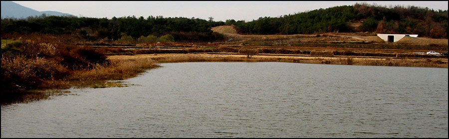 STA40784-3.jpg