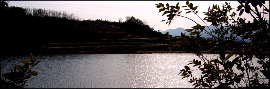 STA40784-4.jpg