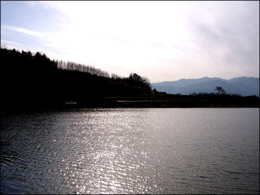 STA40787-12.jpg
