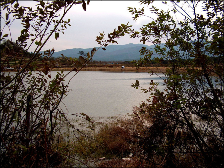 STA40787-13.jpg