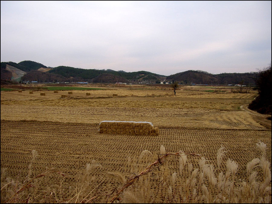 STA40787-14.jpg
