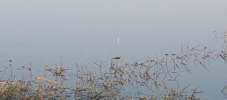 STA40877-3.jpg