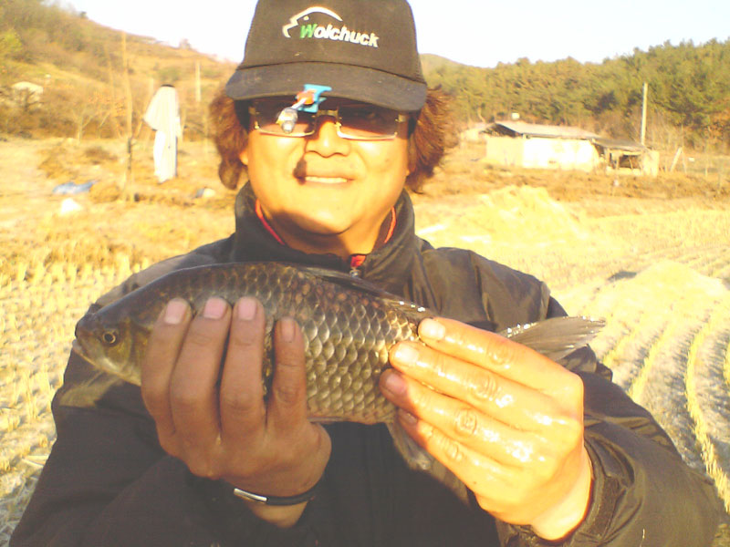 p23.jpg