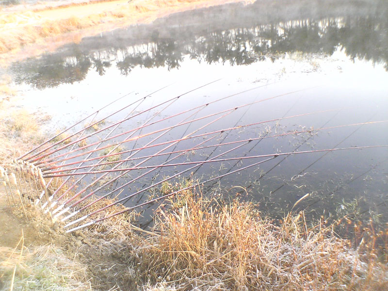 p9.jpg