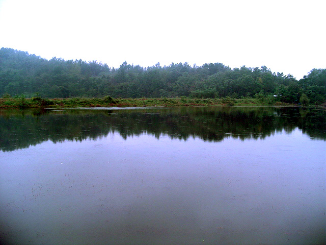 8.JPG