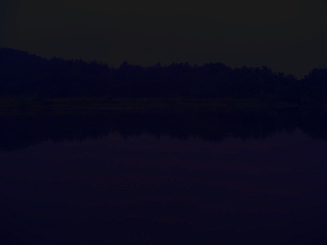 n.jpg