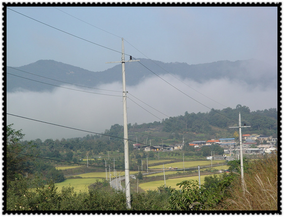 tr22.jpg