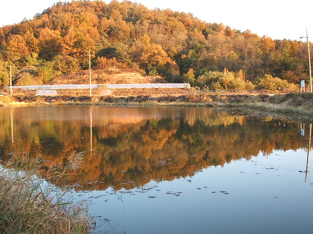 DSCF1133.JPG