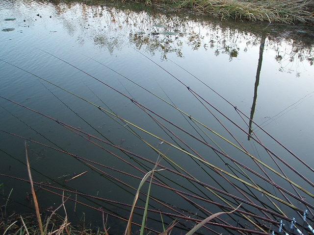 DSCF1135.JPG