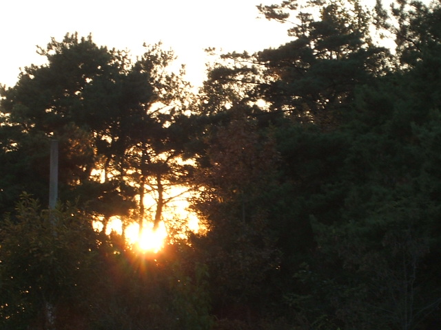 DSCF1139.JPG